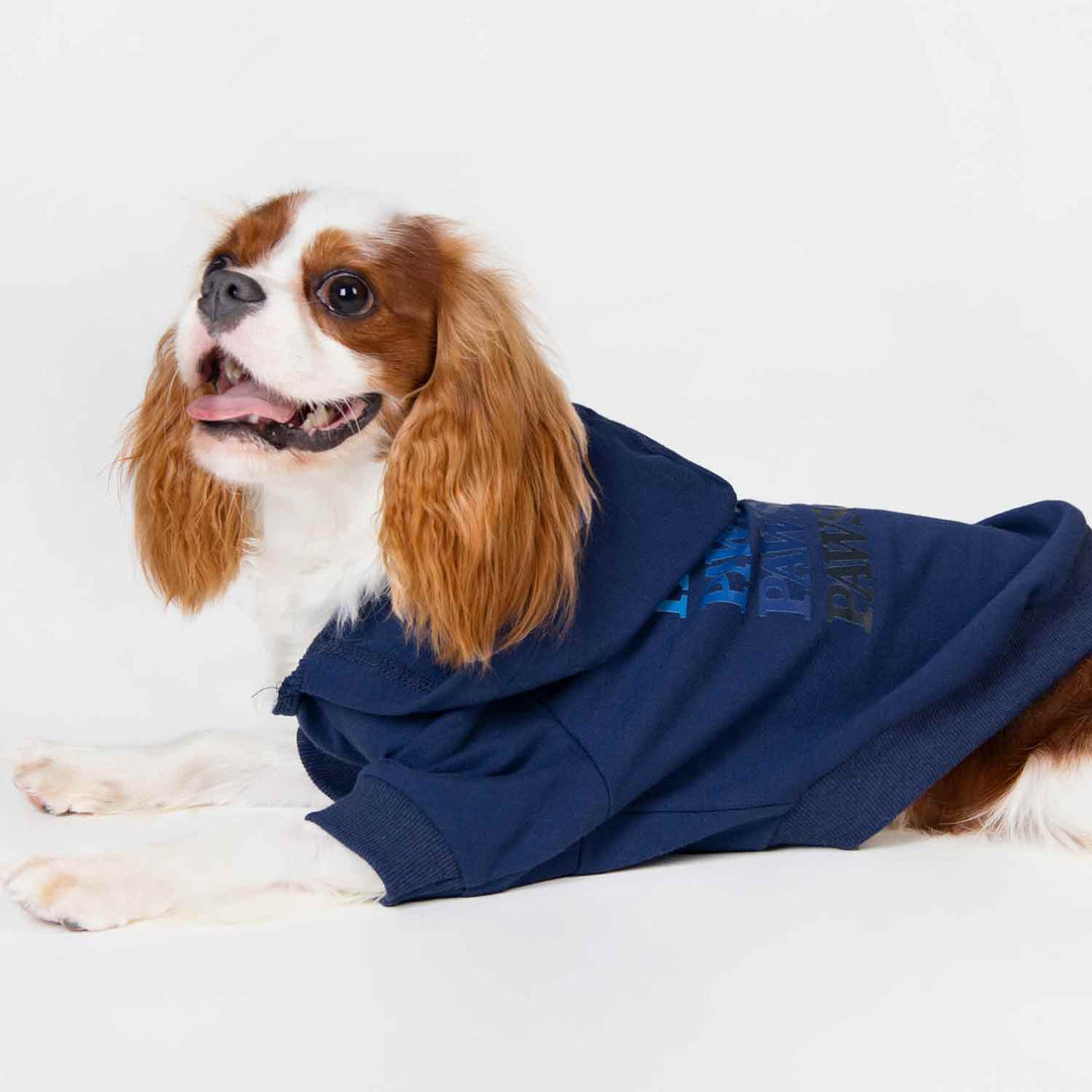 King Charles Spaniel in a Funny Pawsome Dog Hoodie - Fitwarm Dog Clothes