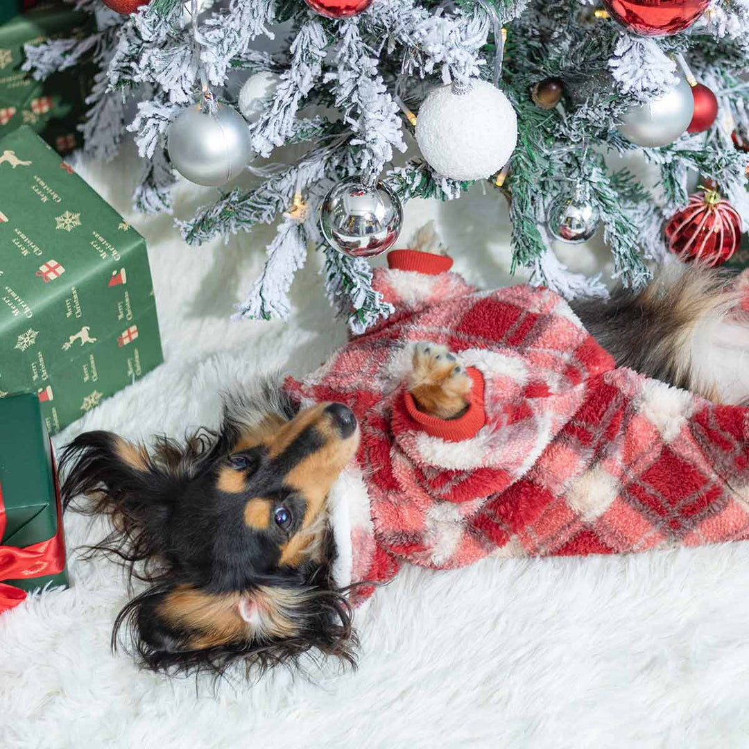 Long-haired dachshund wearing cozy red plaid dog onesie in front of holiday decorations