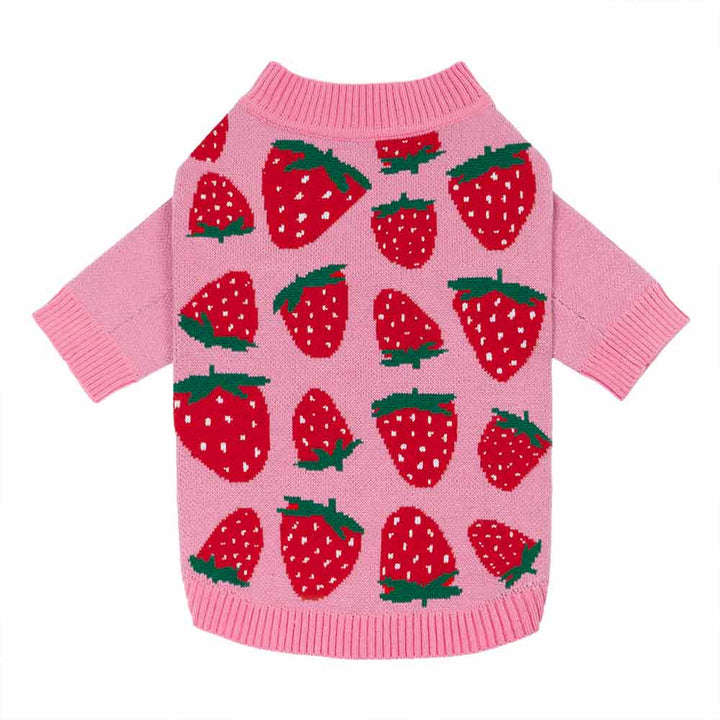 Dog sweater with strawberry pattern in pink, laid flat to show front design.