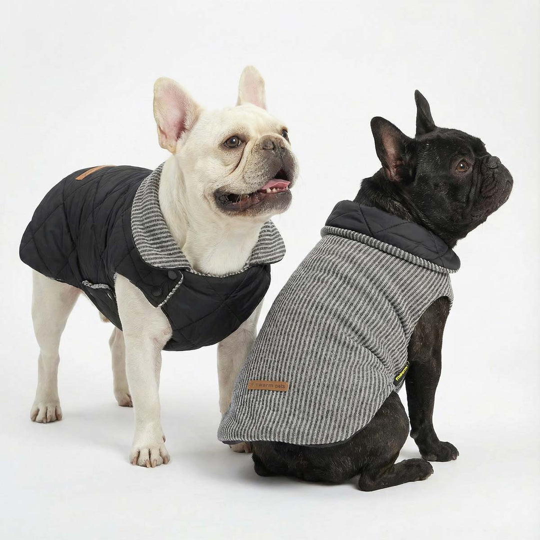Two dogs wearing a reversible dog coat with quilted and striped sides