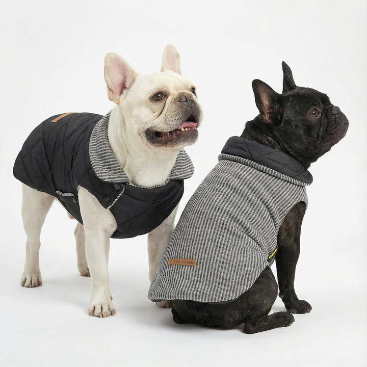 Two dogs wearing a reversible dog coat with quilted and striped sides