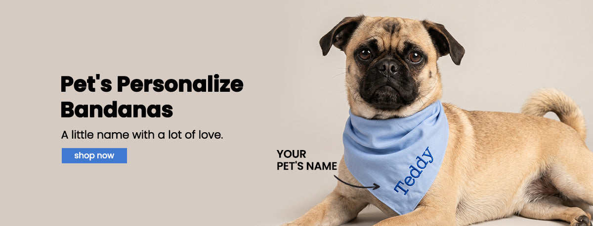 Dog wearing a blue bandana with 'Teddy' on it, sitting on a beige background with text about personalized dog bandanas.