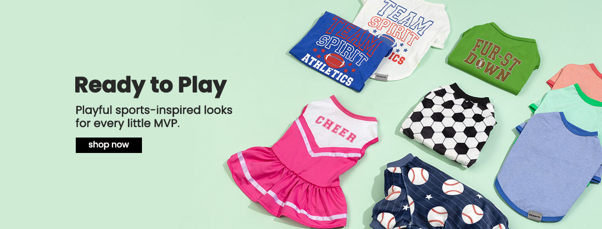 Sporty themed dog clothes collection