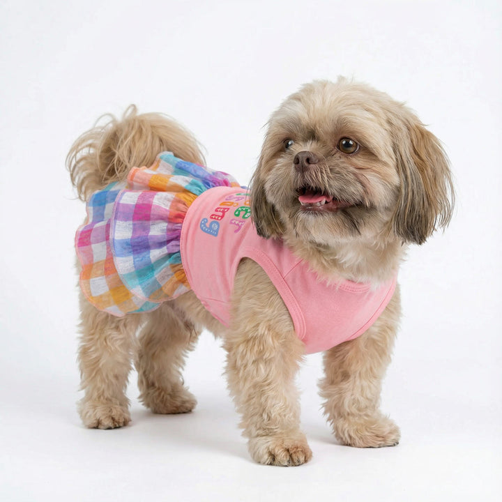 Pastel plaid dog dress for Easter worn by small dog, featuring colorful ruffled skirt on white background