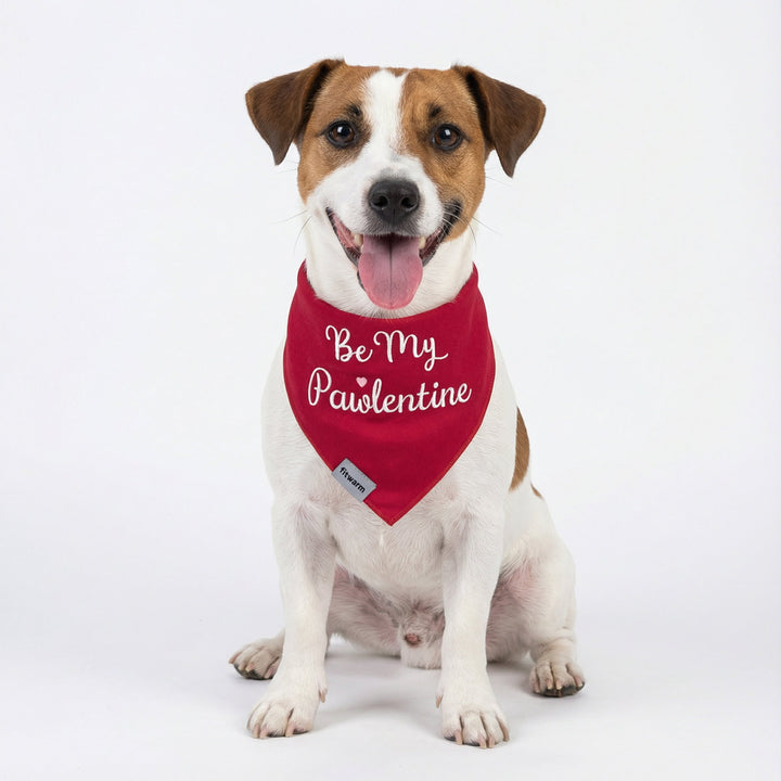 Valentine dog bandana featuring Be My Pawlentine lettering worn by small dog