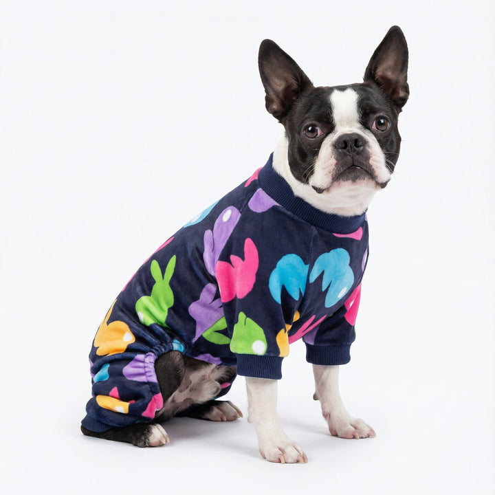 Boston terrier wearing colorful dog pajamas with Easter bunny prints