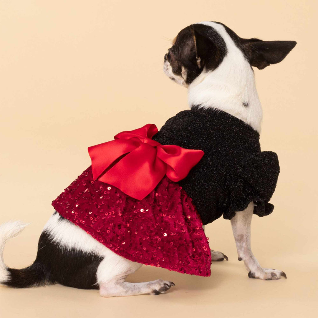 Chihuahua dressed in a festive Christmas dress for dogs featuring a red sequin skirt and black top
