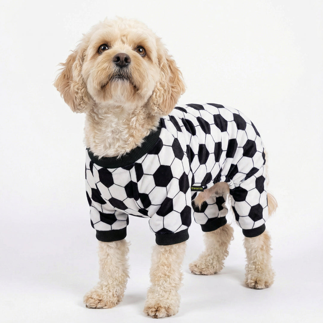 Curly-haired dog standing in soccer dog pajamas with full-leg coverage and classic black-and-white ball pattern
