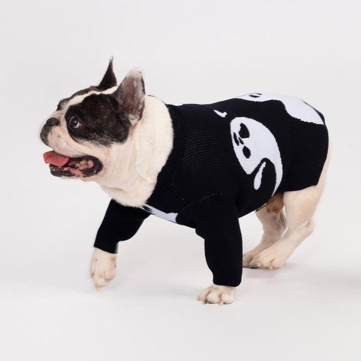 Black knit ghost dog sweater with white embroidered designs, stretchy pullover style on a French Bulldog. Halloween.