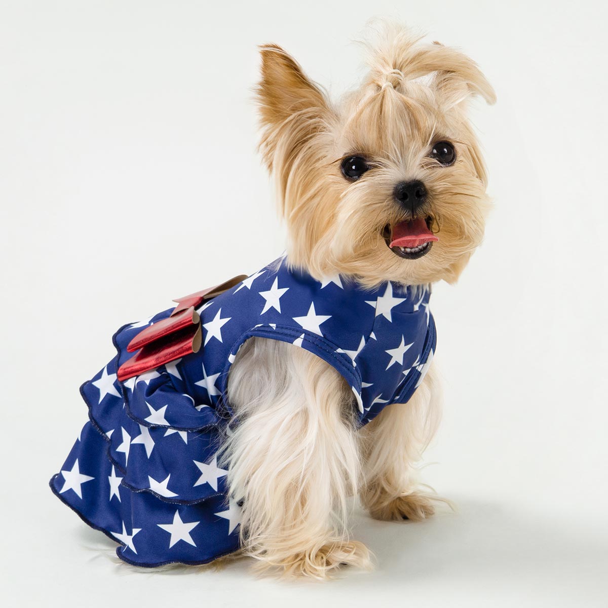 Patriotic Star Dog Dress | 4th of July Outfit – Fitwarm