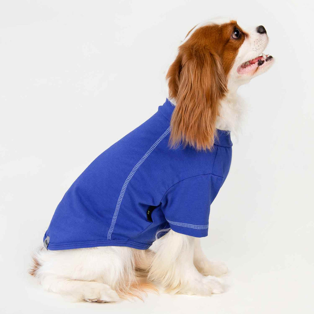 Blue Dog Shirt for King Charles Spaniel - Fitwarm Dog Clothes