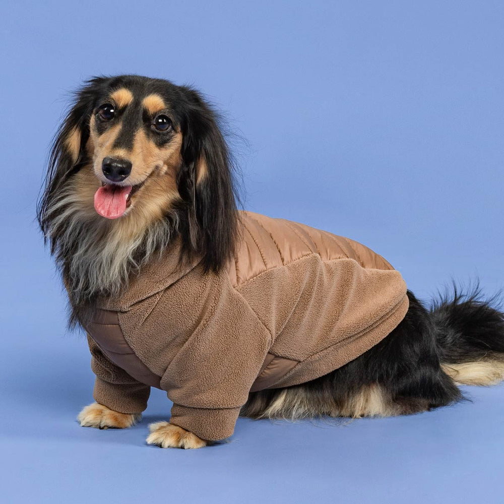Dog Hoodies| Dog Fleece & Sherpa Hoodie | Fitwarm