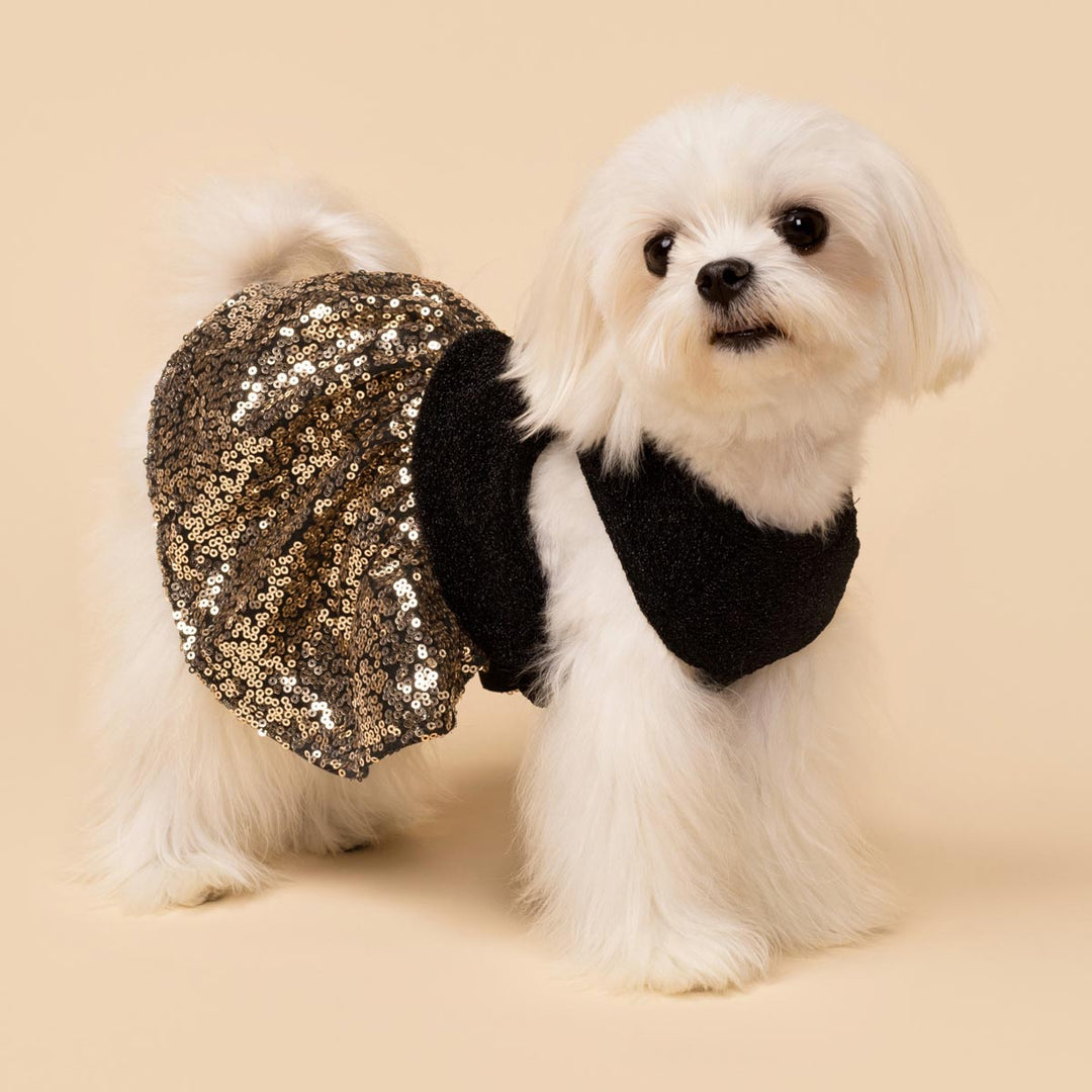 black dress dog Cutest Clover Saturday Night Live Season 51 Sabrina Carpenter Dog Printed Long Sleeves Dress Black and White Polka Dot