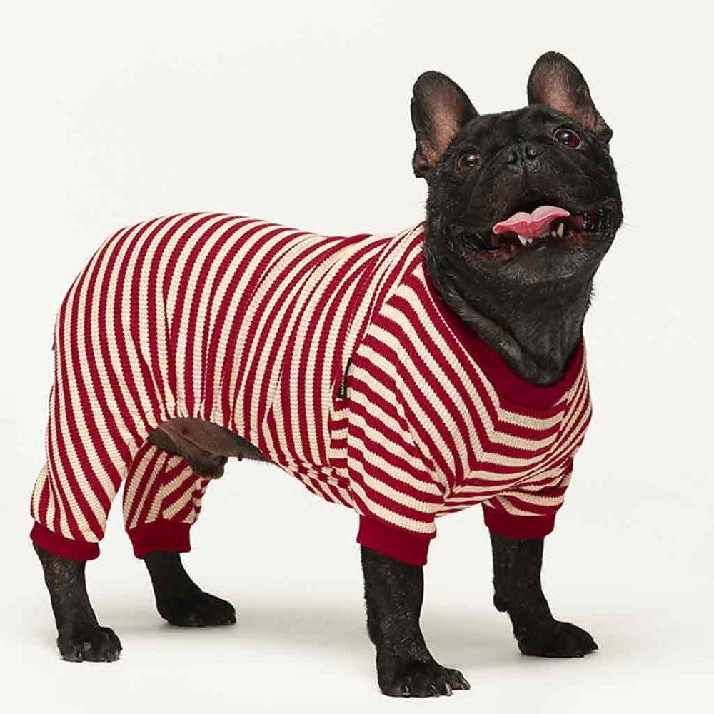 Red and cream waffle striped pajamas for a French Bulldog, cozy dog apparel.
