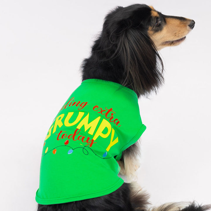 Small dog in holiday-themed dog tank top featuring Santa hat print and Christmas lights