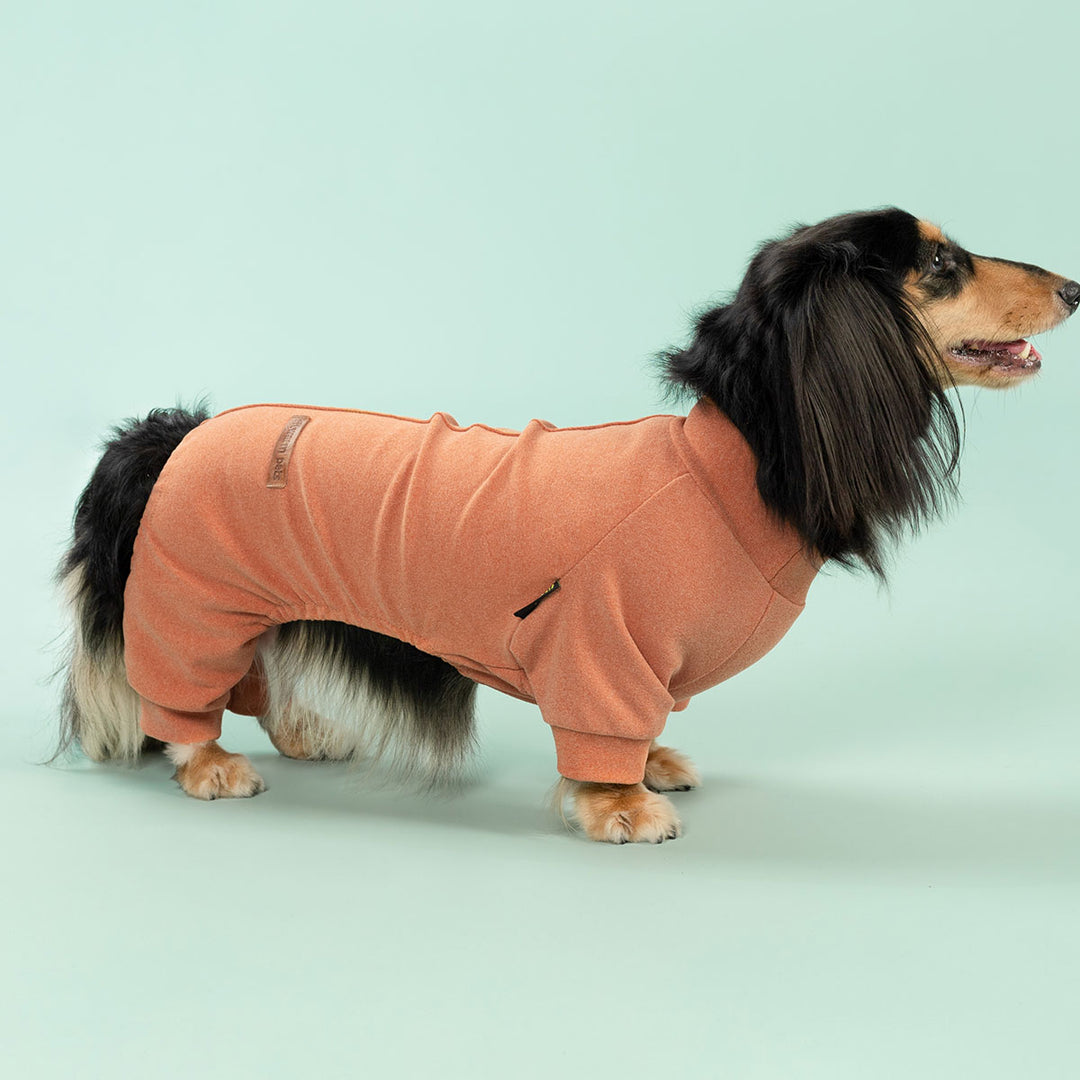 Dachshund wearing orange dog pajamas standing on mint green background, facing right with relaxed pose