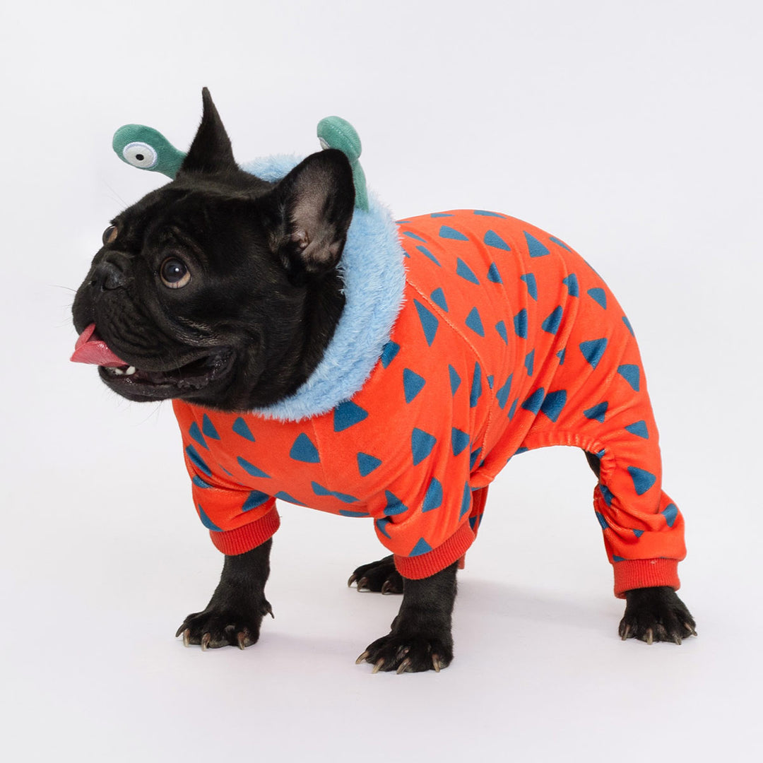 Black French Bulldog in bright orange and blue monster dog costumes with plush hood