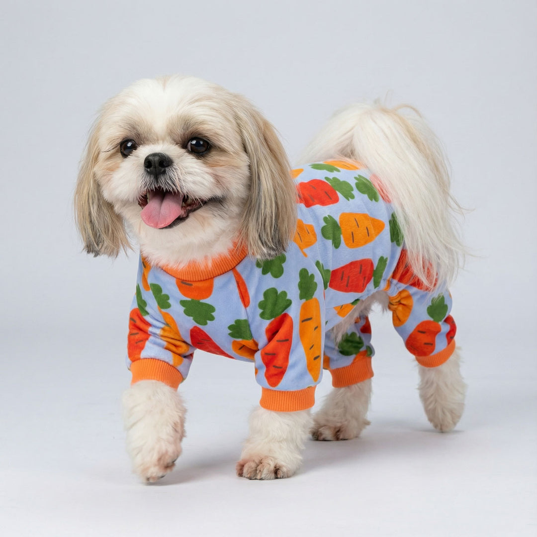 Cute dog in a funny carrot pajamas for dogs happily