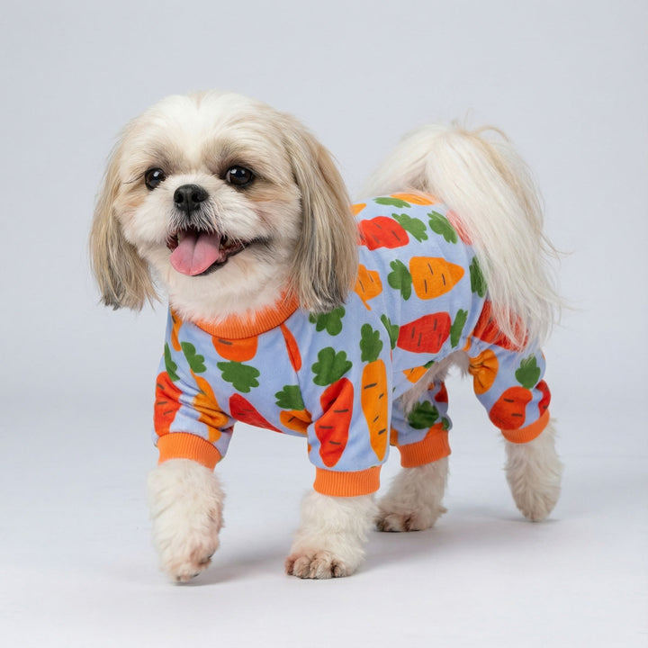 Cute dog in a funny carrot pajamas for dogs happily