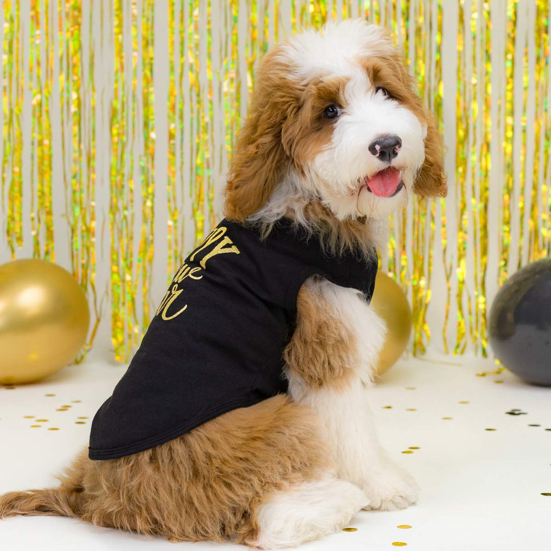 dog new years dress Amazon.com : Suhine 3 Pcs Pet Happy New Year Costume Dog New Years Outfit Accessories Includes Puppy Dogs Tutu Dress Pet Hat and Dog Triangle Bandana for Medium Large Pets Costume Supplies :