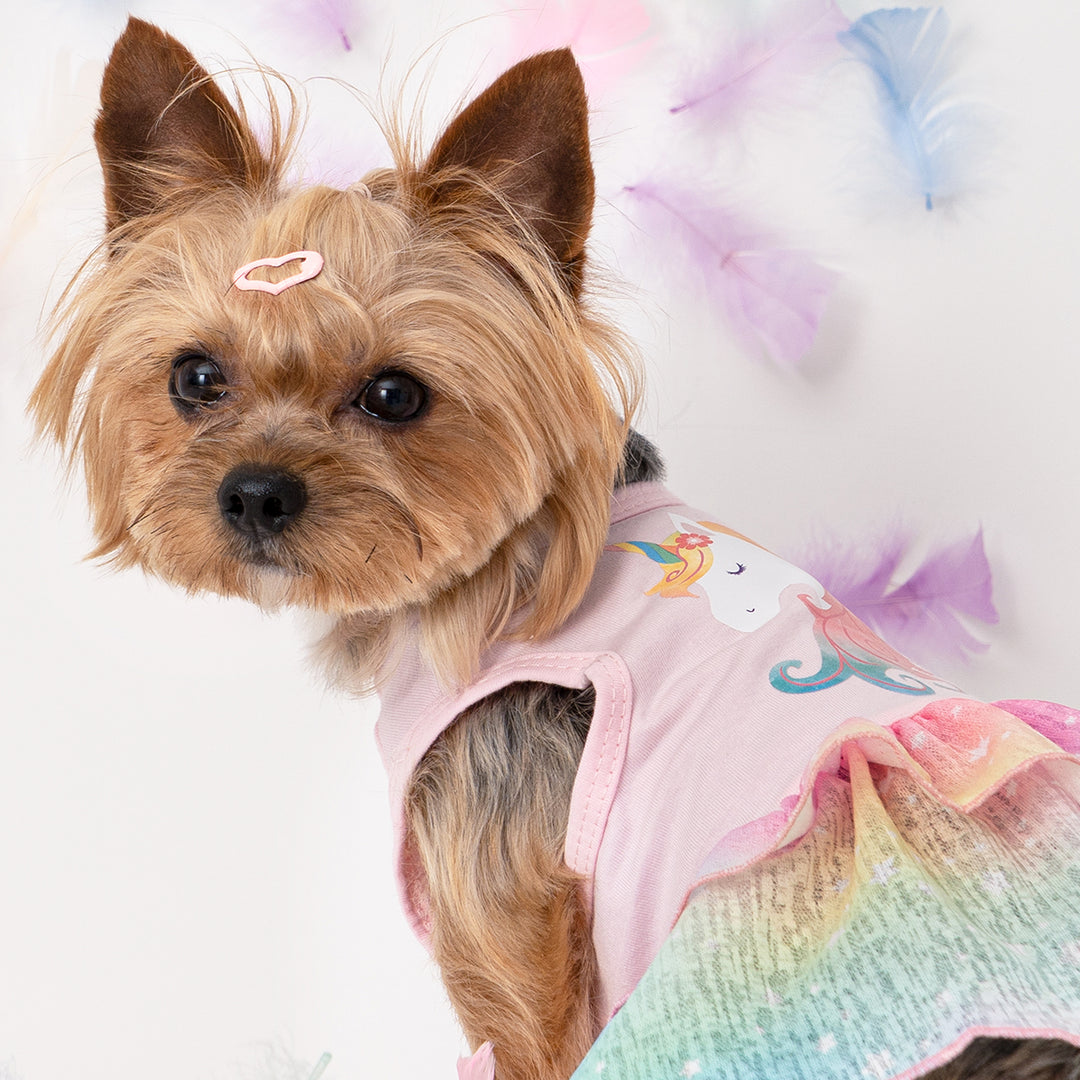 Unicorn Dog Tutu Dress | Birthday Tutu for Small Dogs Fitwarm Unicorn Dog Tutu Dress | Birthday Tutu for Small Dogs Fitwarm