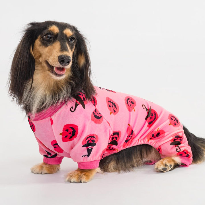 Cute dachshund dressed in pink pumpkin print dog onesie