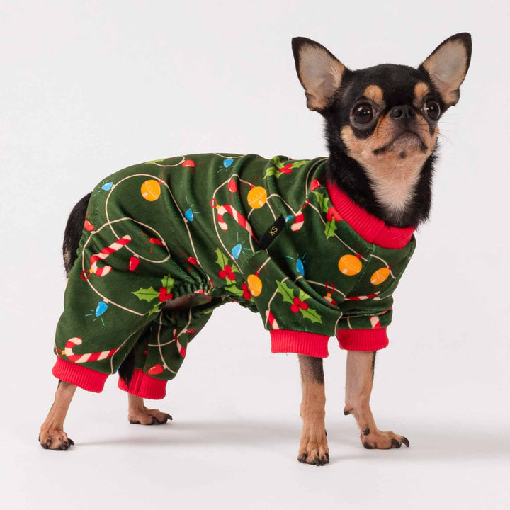 Tiny dog posing in patterned Christmas dog jammies