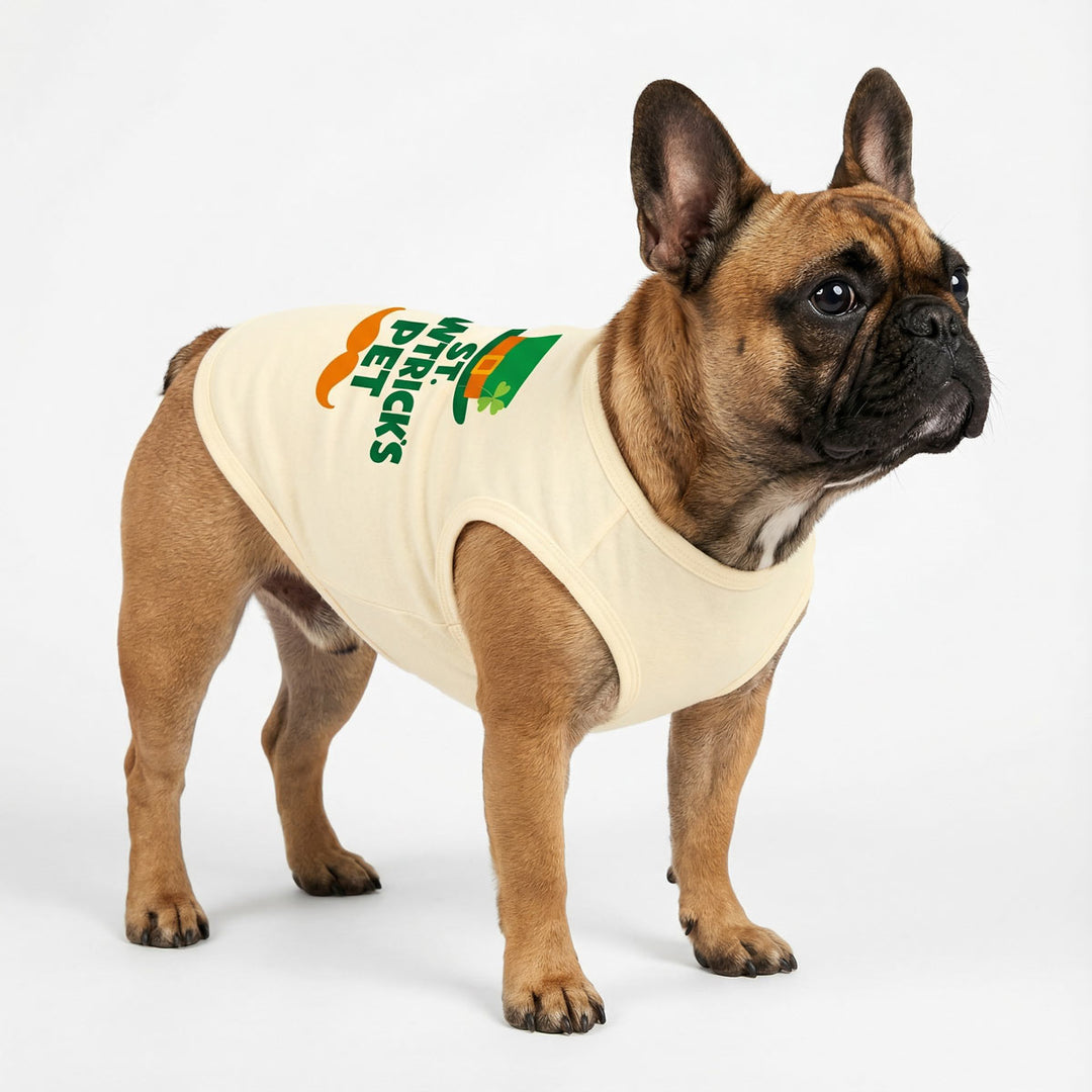 French bulldog in a St. Patrick's Day-themed shirt for dogs on a white background