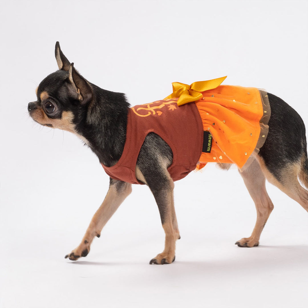 Chihuahua wearing brown and orange fall in love dog dress