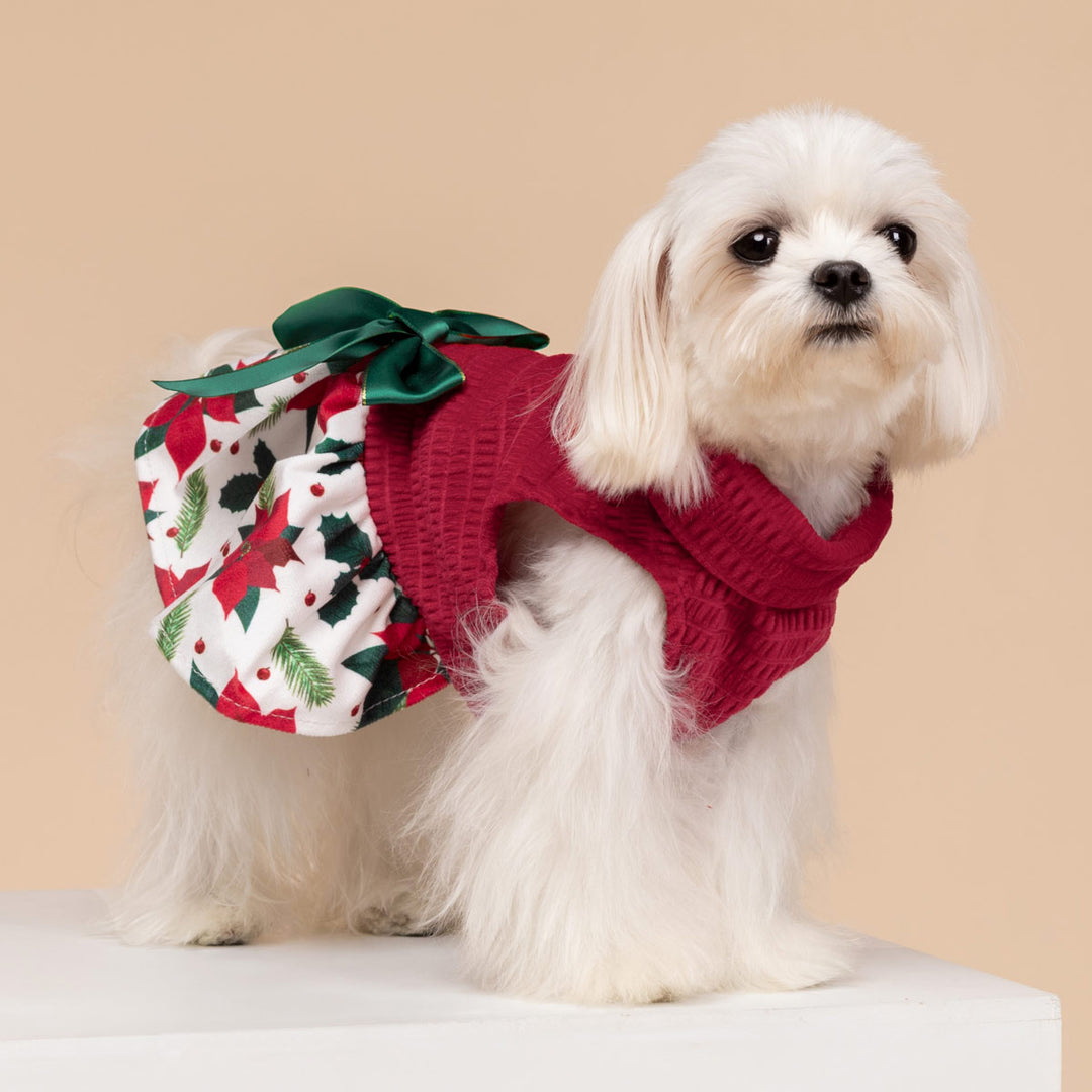 Christmas Floral Dog Dress | Red & Green Festive Outfit XX-SMALL Christmas Floral Dog Dress | Red & Green Festive Outfit XX-SMALL
