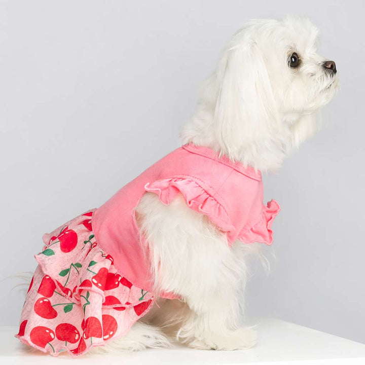 Cute Cherry Cake Dog Dress in Maltese - Fitwarm Dog Clothes