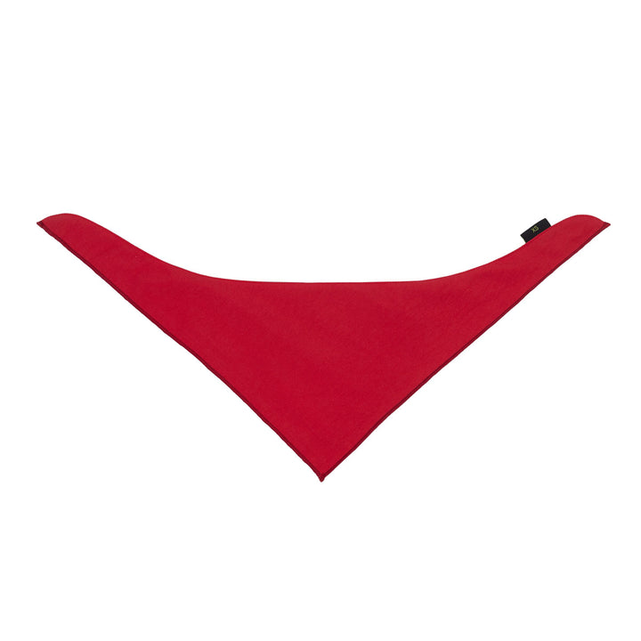 Custom Embroidered Dog Bandana