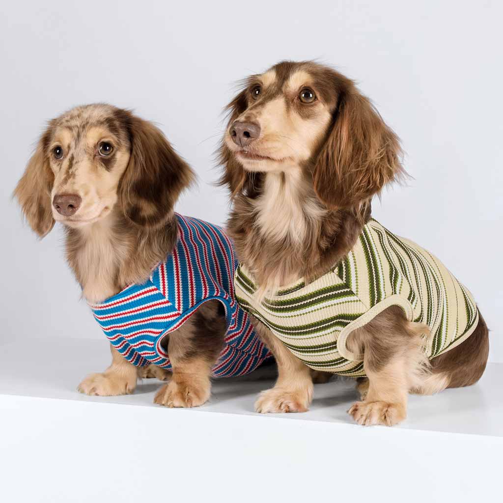 Waffle Striped Dog Shirts for Dachshunds - Fitwarm Dog Clothes