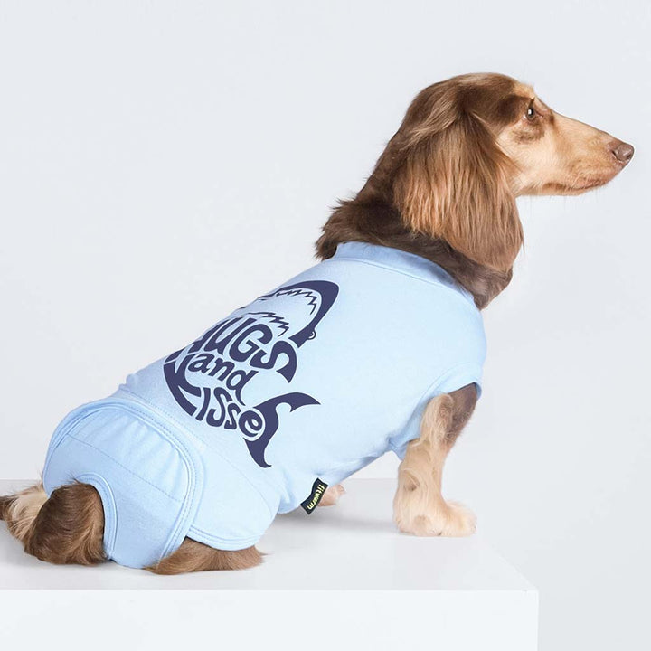 'Hug and Kisses' Dog Recovery Shirt for Dachshund - Fitwarm Dog Clothes