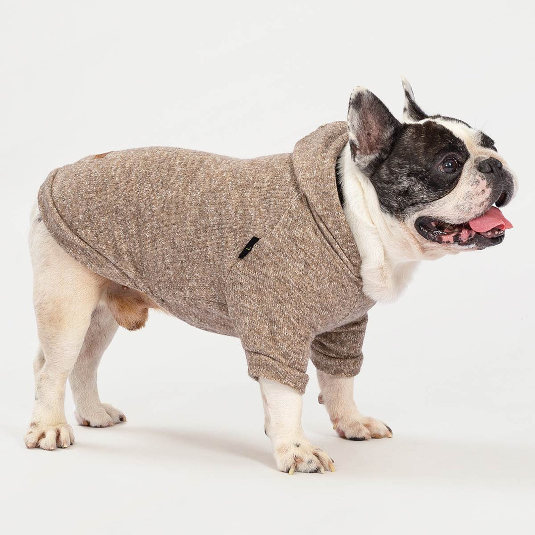 French bulldog wearing heathered beige knit dog hoodie with hood and leash hole, product view.