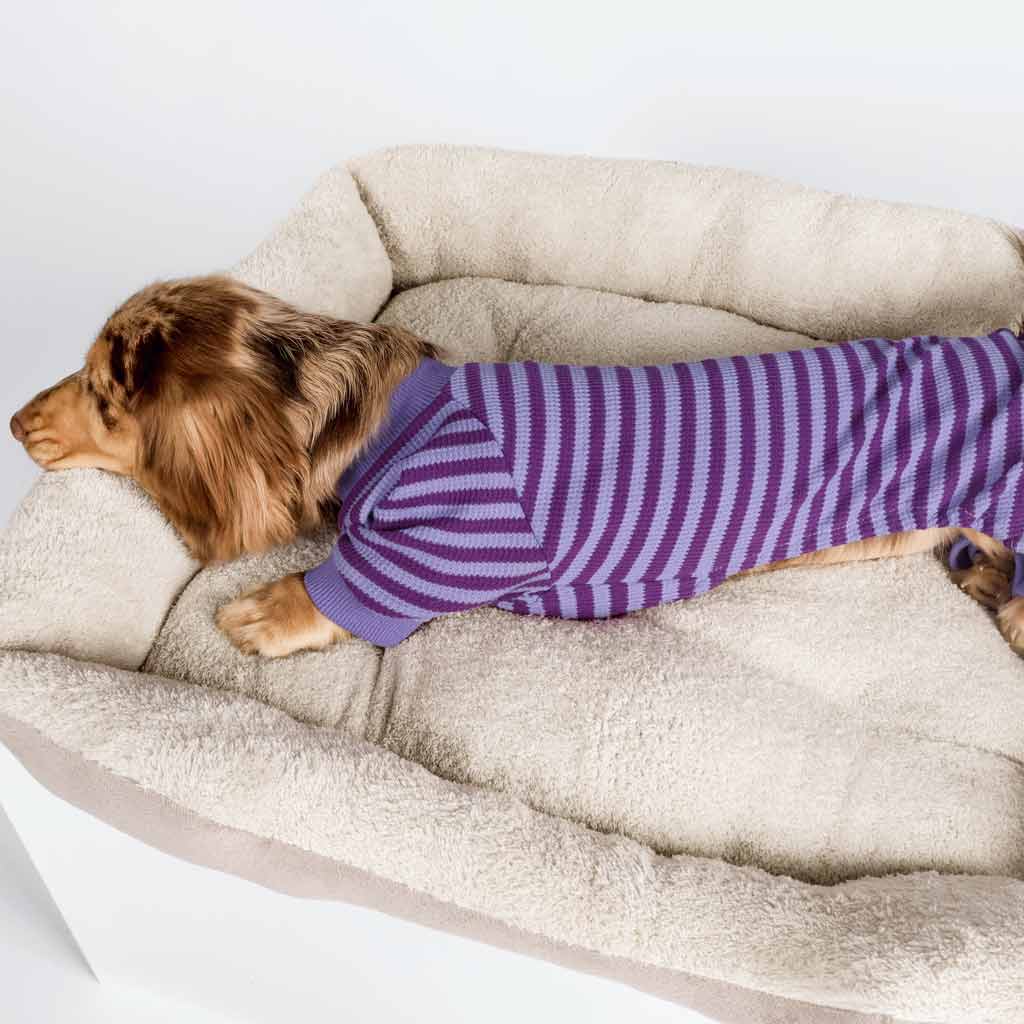 Dachshund in a Dog Pajamas with Waffle Stripes - Fitwarm Dog Clothes