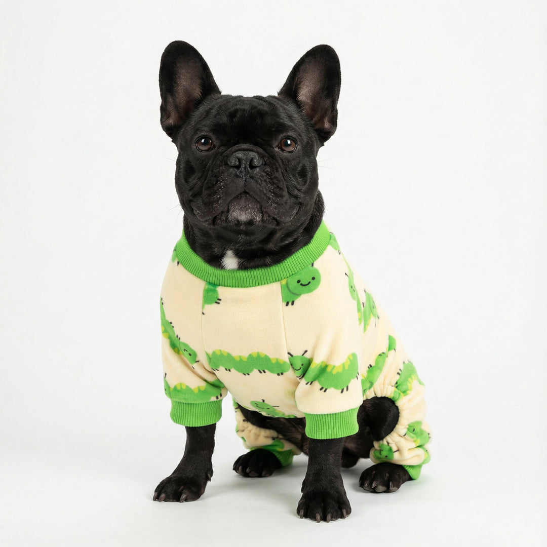 Black French Bulldog sitting on the floor with a funny caterpillar dog jammies