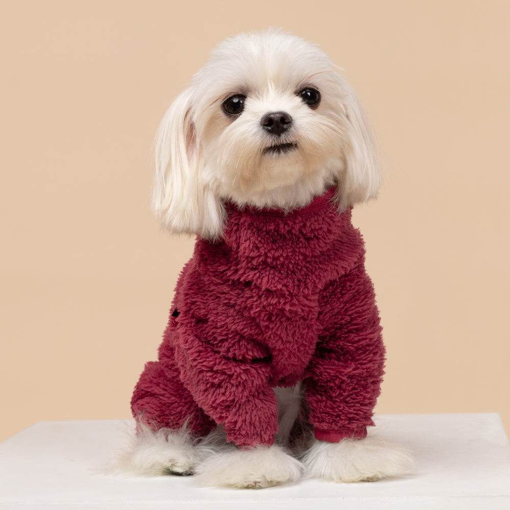 Burgundy fuzzy fleece dog pajamas on a Maltese, cozy winter wear, from Fitwarm
