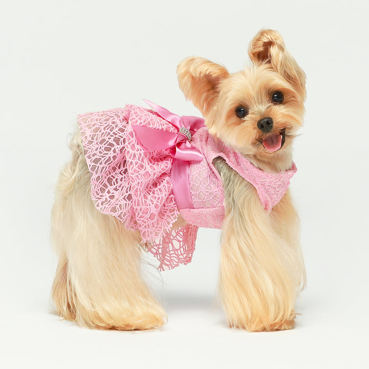 Fancy Tulle Pink Pet clothes