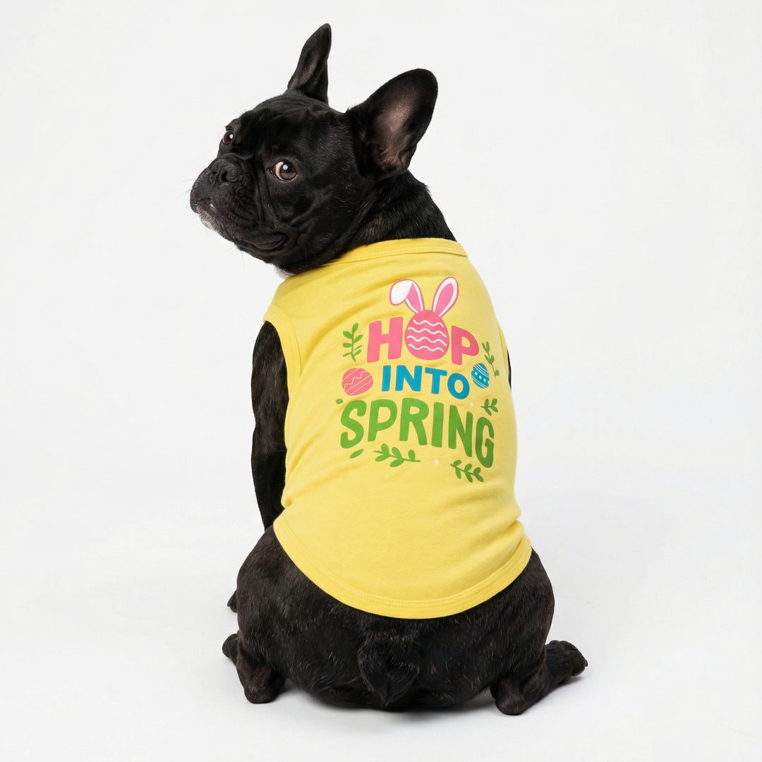 Cute dog modeled in bright shirt for dogs printed with Easter 'Hop into Spring' design