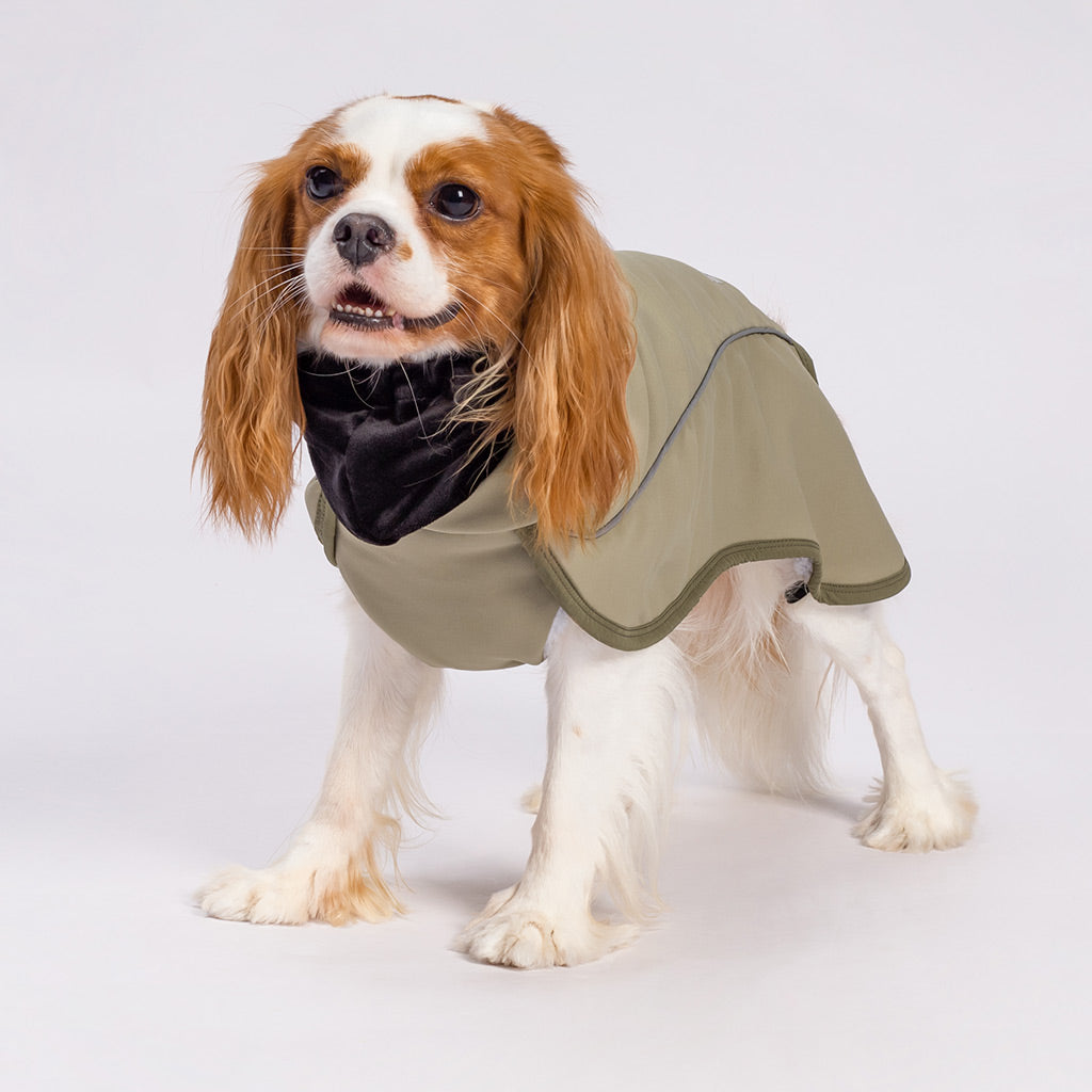 Turtleneck Winter Dog Coat Fitwarm - Main Image