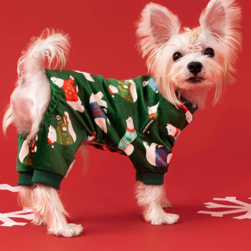 Small white dog wearing green Christmas dog pajamas with polar bear prints on a red background