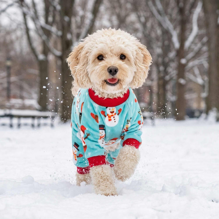 Cute dog walking in the snowy part with Christmas snowy park