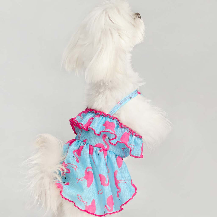 Maltese in a Vibrant Blue and Pink Flamingo Print Dog Dress - Fitwarm Dog Clothes