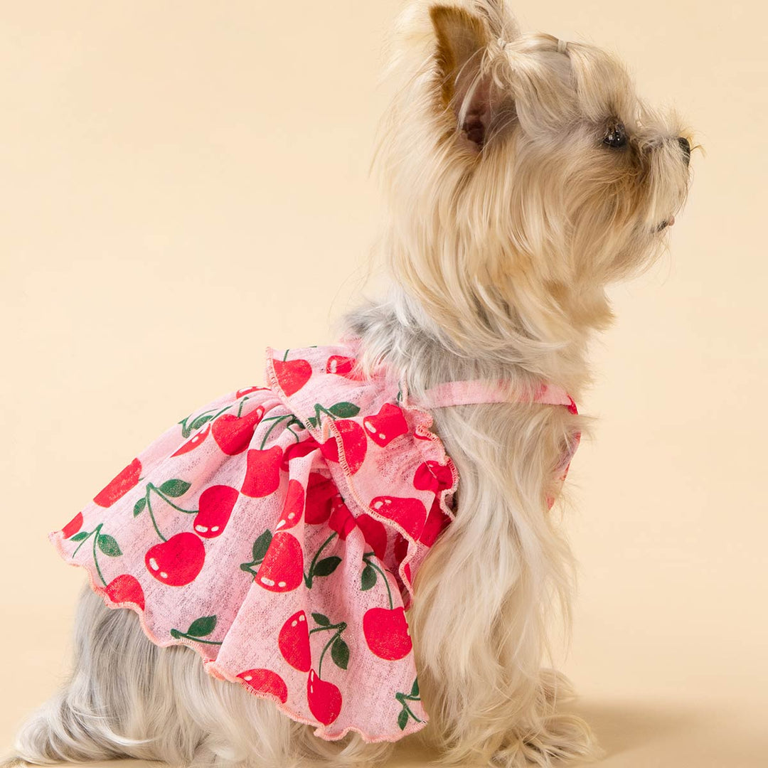 cheap cute dog dresses Sebaoyu Dog Dresses 3 Pack for Small Dogs | Summer Puppy Clothes Outfit | Breathable Pet Dress for French Bulldog, Chihuahua, Yorkie