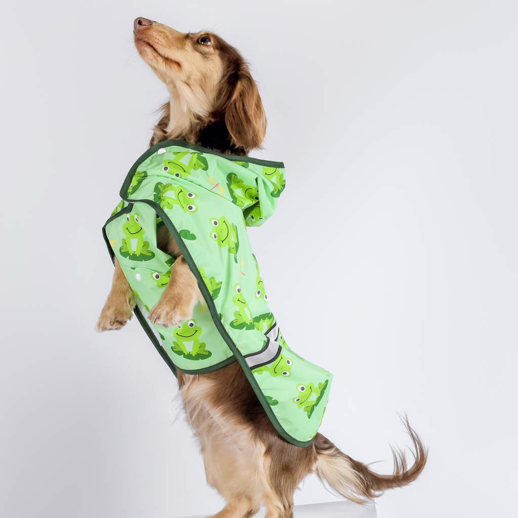 Dachshund in a Dog Raincoat with Cute Frog Prints - Fitwarm Dog Clothes