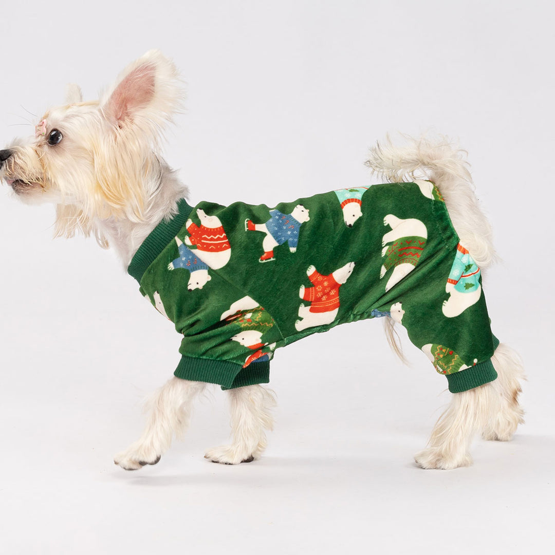 Cute dog in cozy green pajamas for dogs decorated with polar bears wearing Christmas sweaters