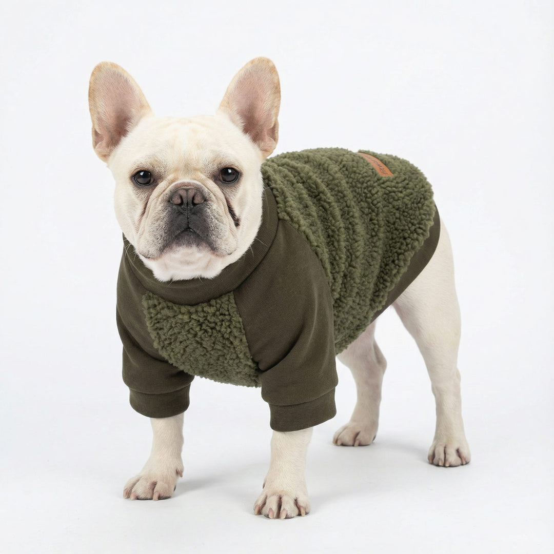 French bulldog wearing cozy fleece dog sweater with textured sherpa panels