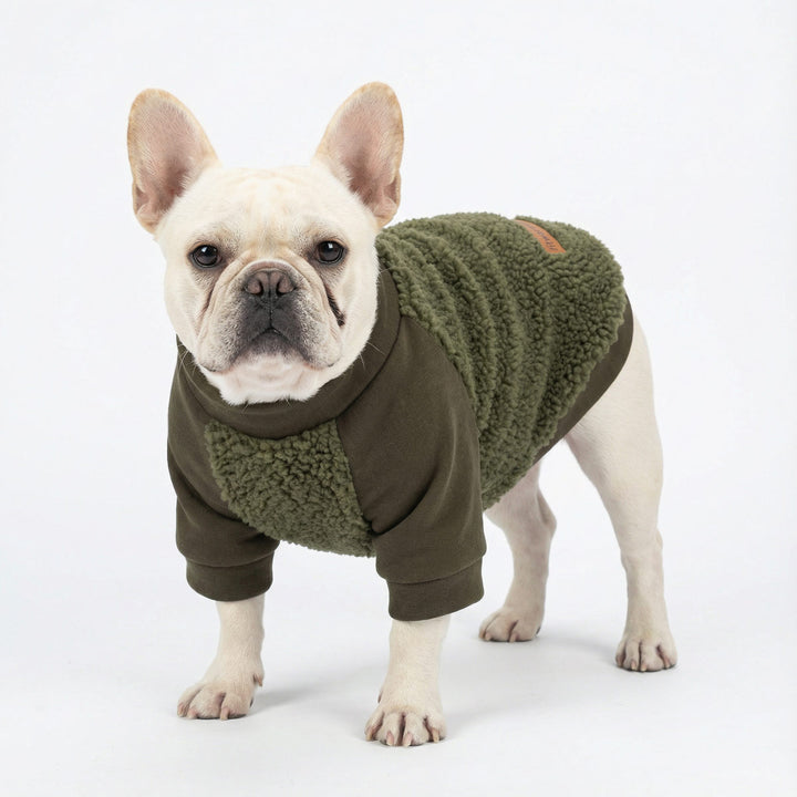 French bulldog wearing cozy fleece dog sweater with textured sherpa panels