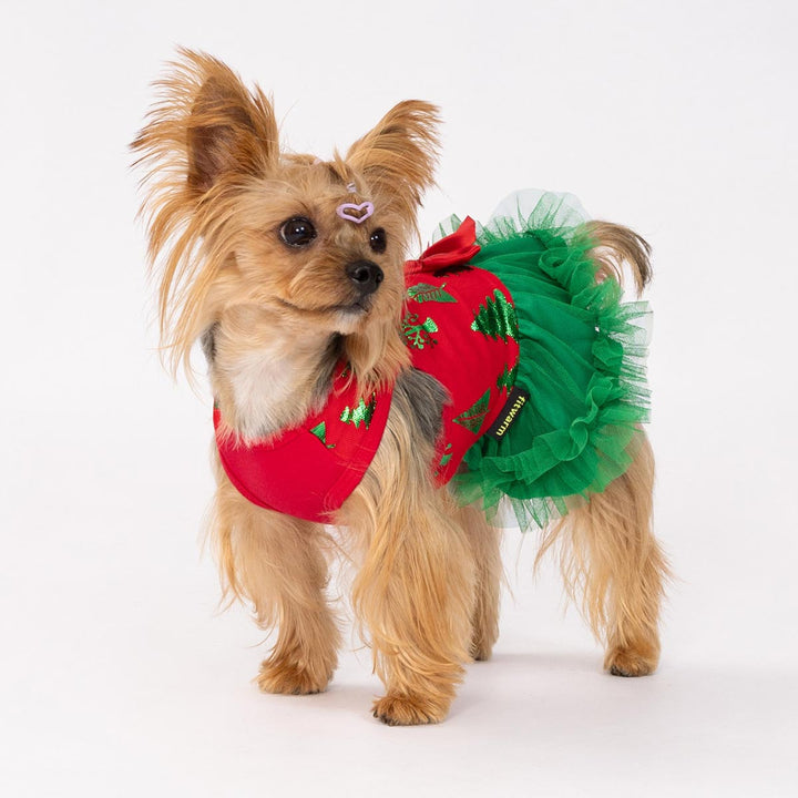 Small dog wearing a red and green Christmas dog dress decorated with glittery tree patterns and tulle skirt